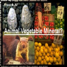 Animal Vegetable Mineral CD